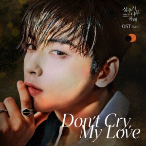 Don't Cry My Love - YouTube Music - Cha Eun Woo