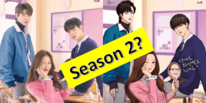 Read more about the article Should There Be a True Beauty Season 2?