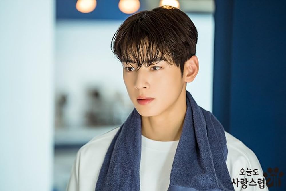 Cha Eun-woo as Jin Seo-won - MBC TV