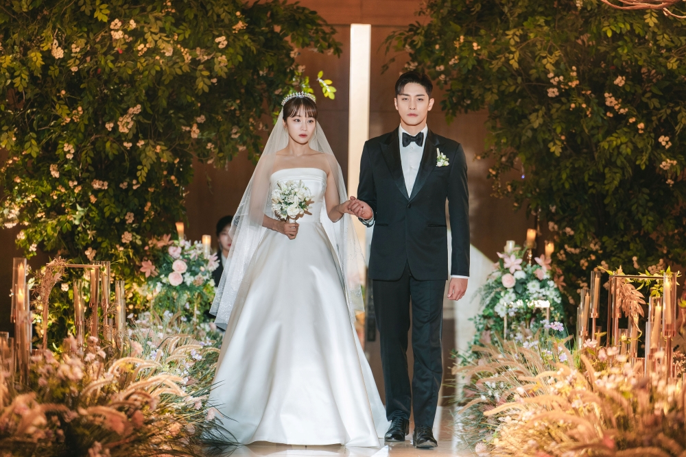 Marry My Husband vs Perfect Marriage Revenge - tvN & MBN